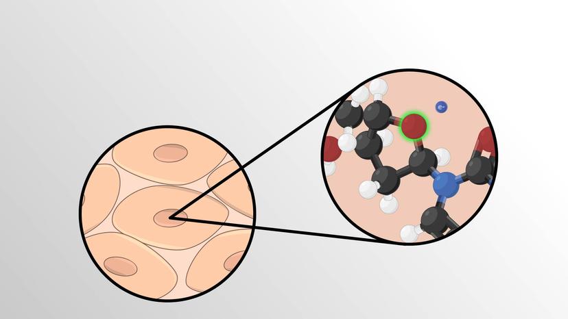 Biological Effects of Radiation