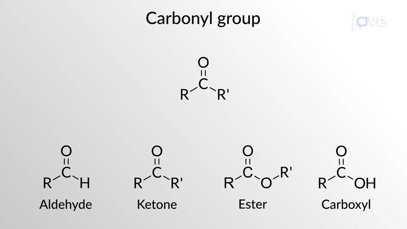 Functional Groups