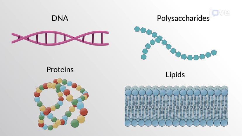 Polymers