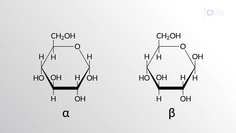 Chemistry of Carbohydrates