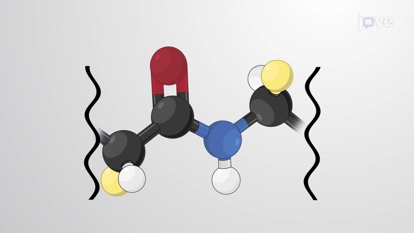 Peptide Bonds