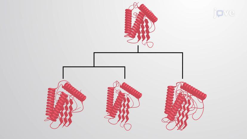 Protein Families