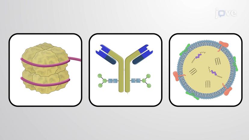 Conjugated Proteins