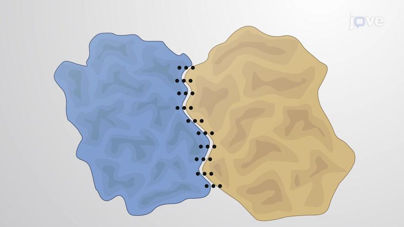 Protein-protein Interfaces