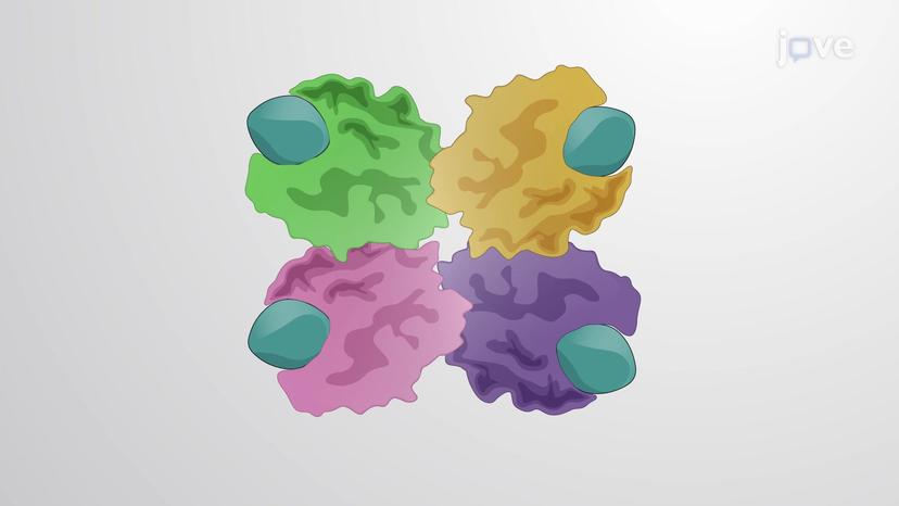 Cooperative Allosteric Transitions