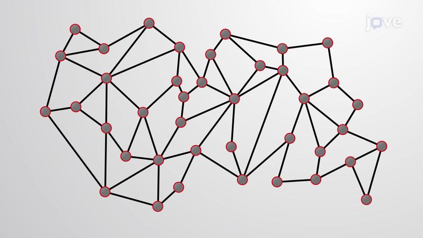 Protein Networks