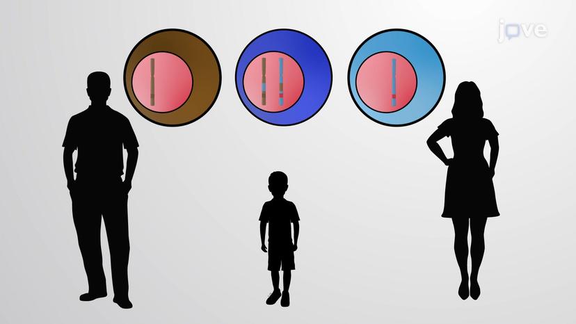 Gene Conversion