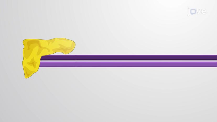 Small interfering RNAs (siRNA)