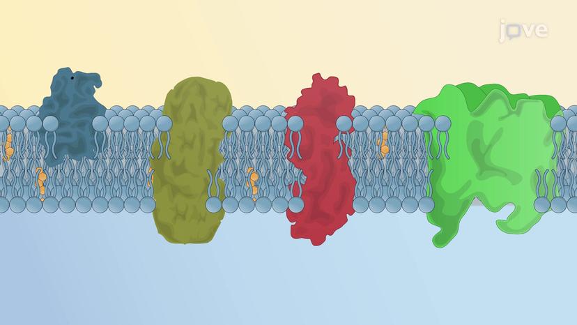 Membrane Proteins