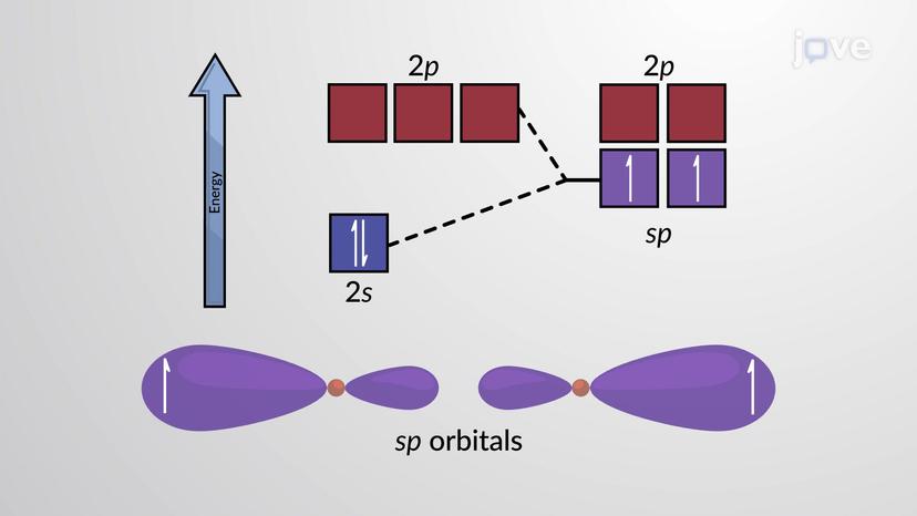 Valence Bond Theory and Hybridized Orbitals