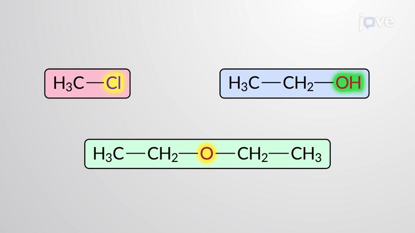 Introduction to Functional Groups