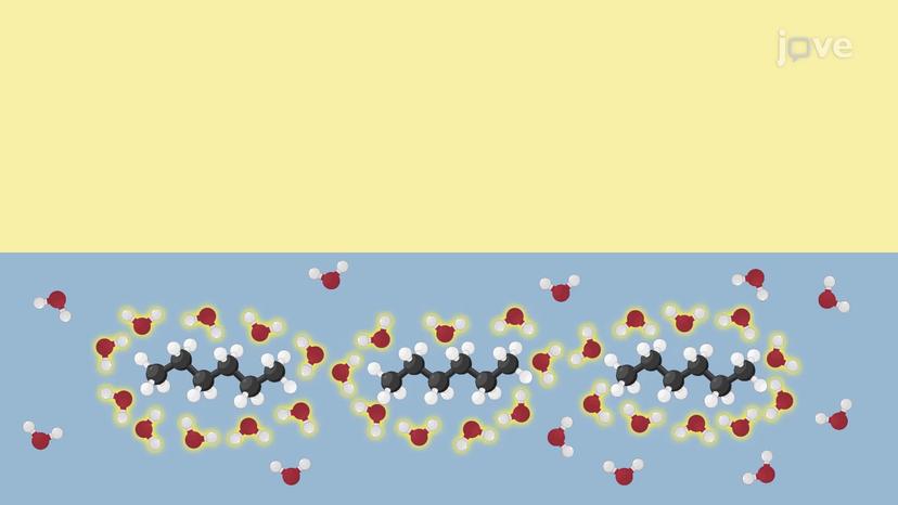 Entropy and Solvation