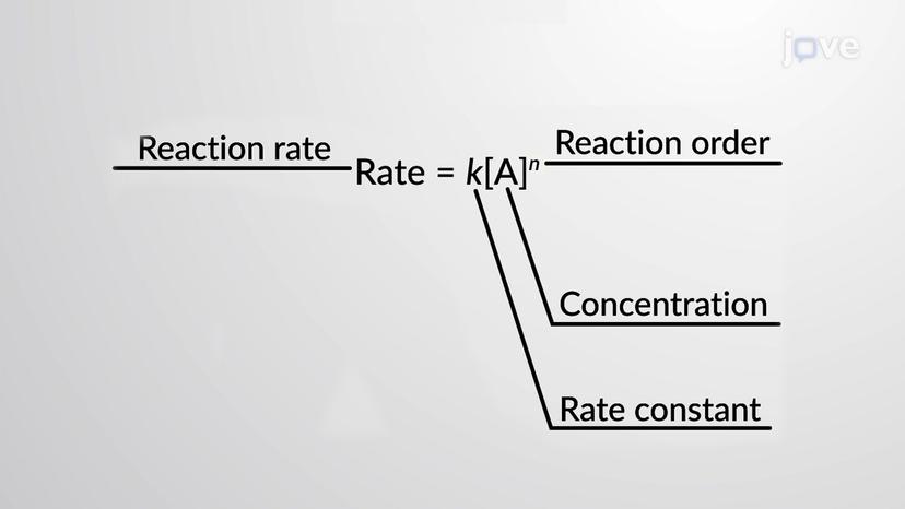 Rate Law and Reaction Order