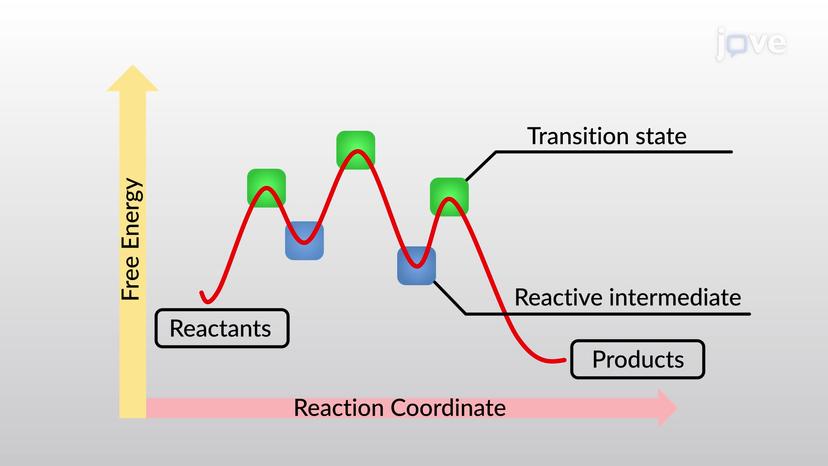 Energy Diagrams, Transition States, and Intermediates