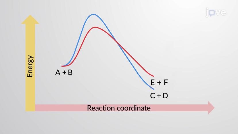 Predicting Reaction Outcomes