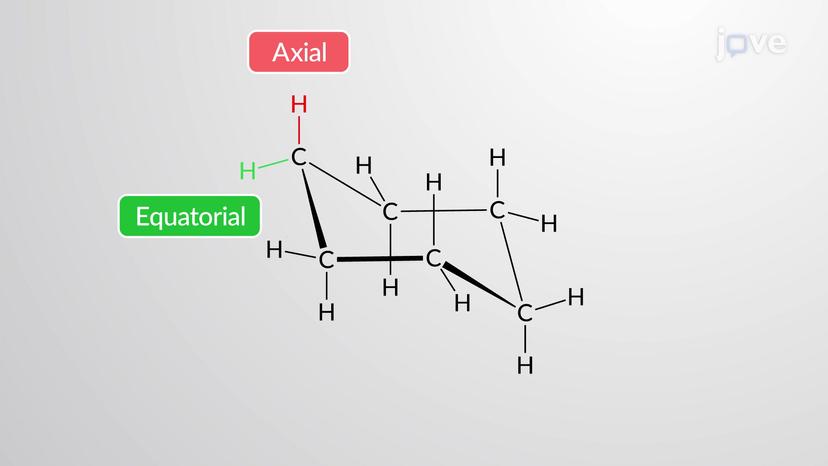 Chair Conformation of Cyclohexane