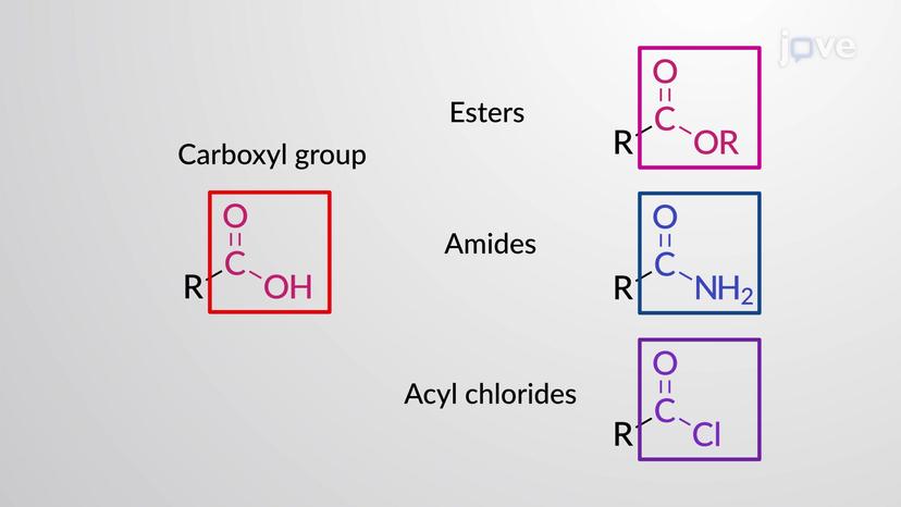 Overview of Advanced Functional Groups