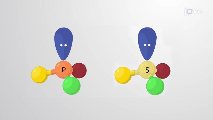 Chirality at Nitrogen, Phosphorus, and Sulfur