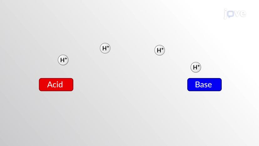 Br&#248;nsted-Lowry Acids and Bases