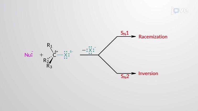 Predicting Products: S<sub>N</sub>1 vs. S<sub>N</sub>2