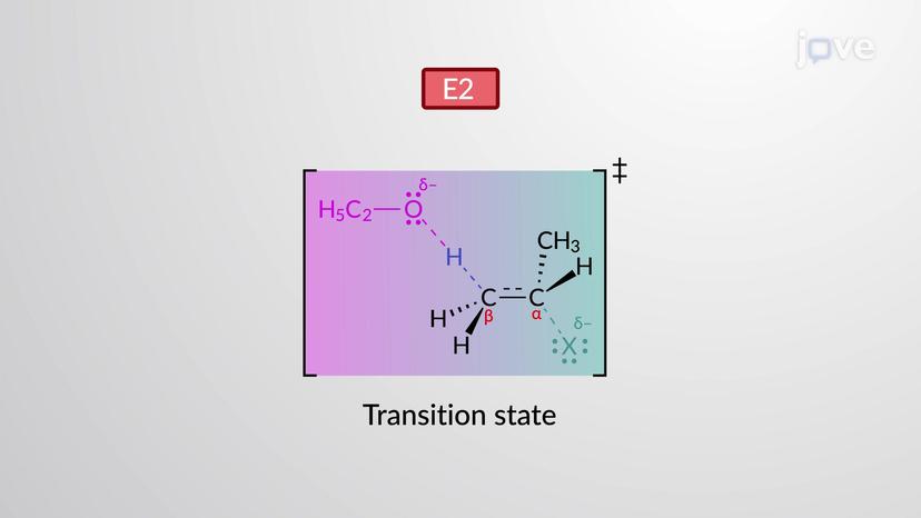 E2 Reaction: Kinetics and Mechanism