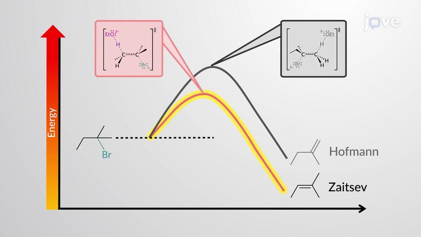 E2 Reaction: Stereochemistry and Regiochemistry