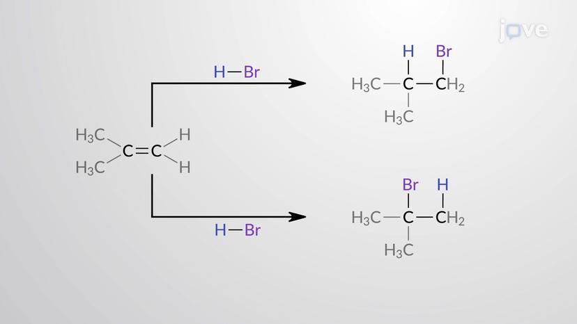 Regioselectivity of Electrophilic Additions to Alkenes: Markovnikov's Rule