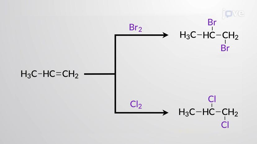 Halogenation of Alkenes