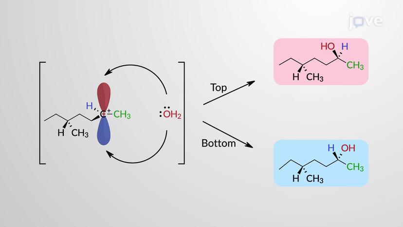 Regioselectivity and Stereochemistry of Acid-Catalyzed Hydration