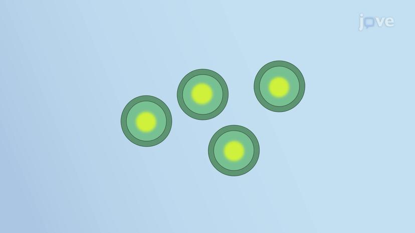 Overview of Secretory Vesicles