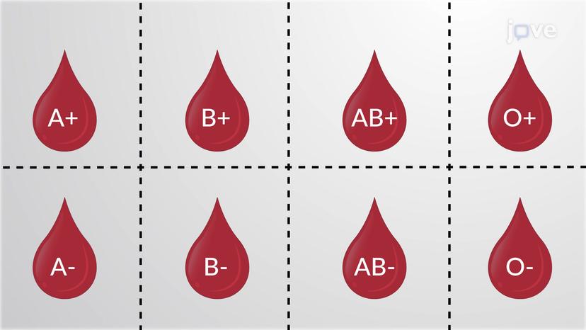 Blood Types