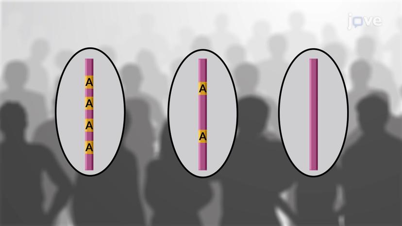 Comparing Copy Number Variations and SNPs