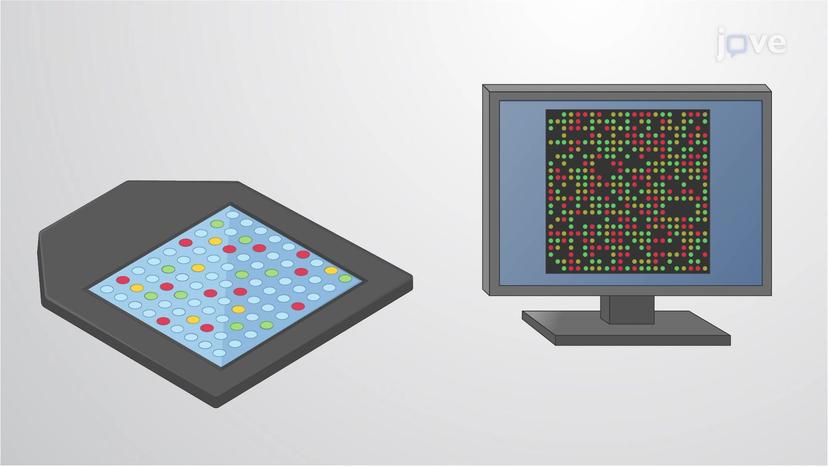 DNA Microarrays