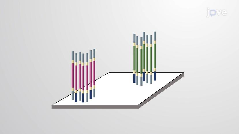 Next-generation Sequencing