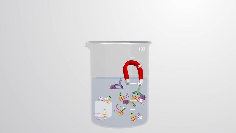 Chromatin Immunoprecipitation- ChIP