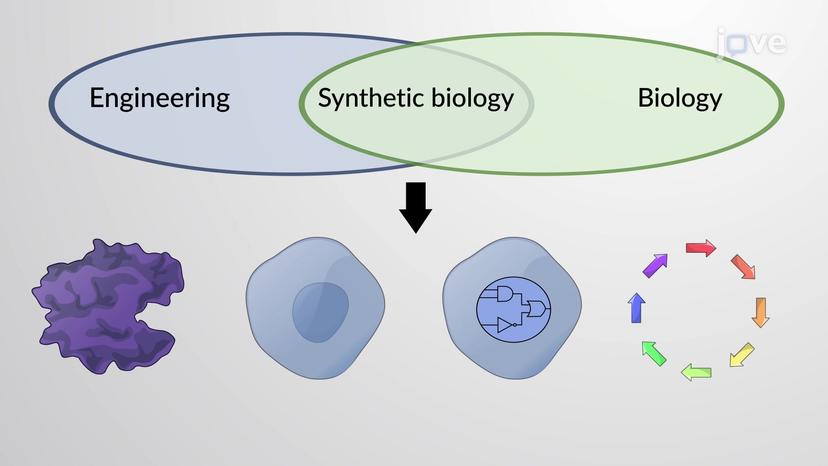 Synthetic Biology