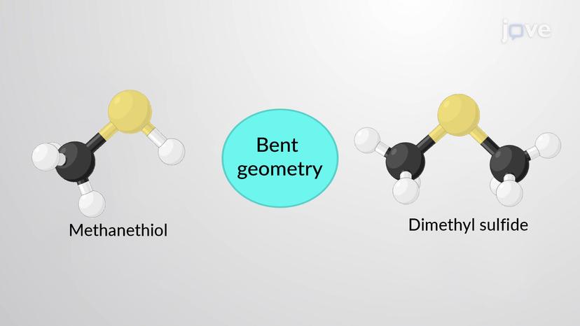 Structure and Nomenclature of Thiols and Sulfides