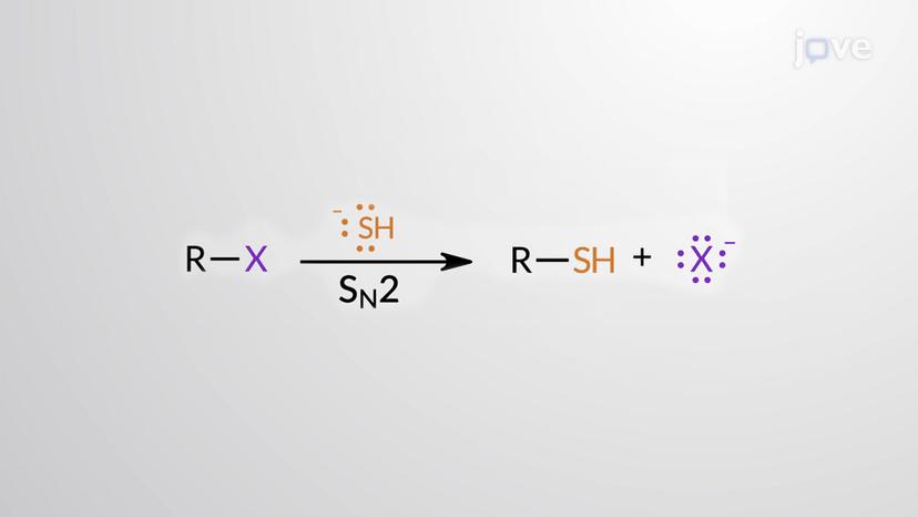 Preparation and Reactions of Thiols