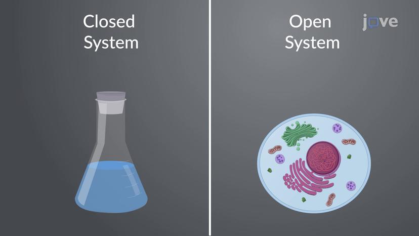 Non-equilibrium in the Cell