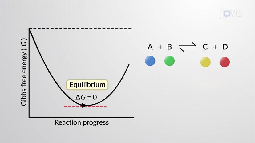 Free Energy and Equilibrium