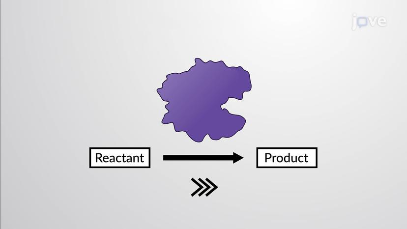 Introduction to Enzymes