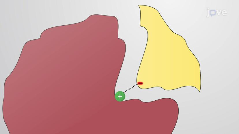 Introduction to Mechanisms of Enzyme Catalysis