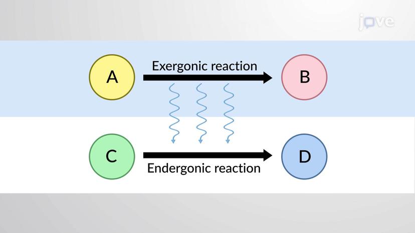 Coupled Reactions