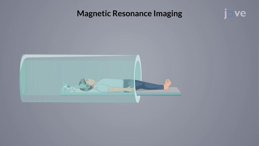 Nuclear Magnetic Resonance (NMR): Overview