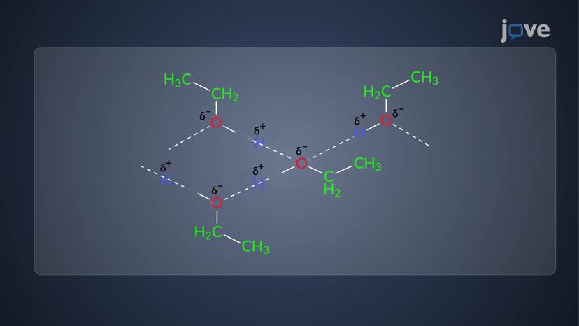 &sup1;H NMR of Labile Protons: Temporal Resolution