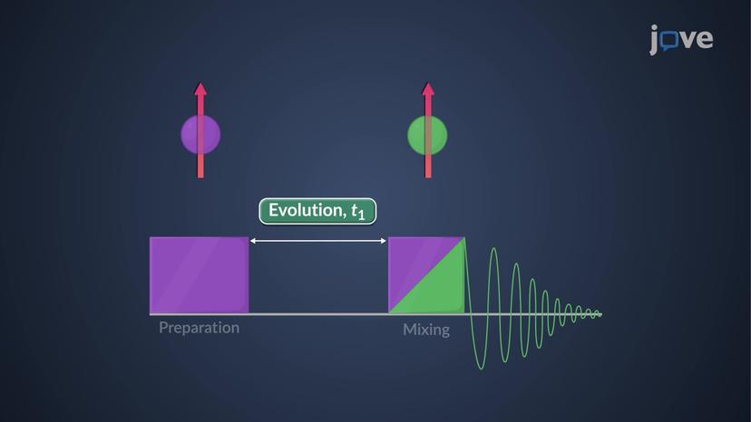 Two-Dimensional (2D) NMR: Overview