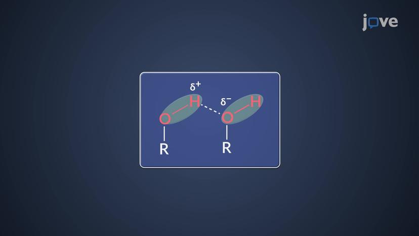 IR Spectrum Peak Broadening: Hydrogen Bonding