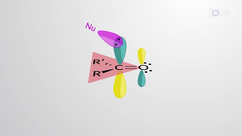 Nucleophilic Addition to the Carbonyl Group: General Mechanism