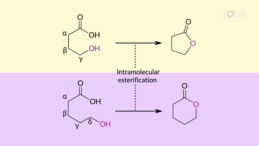 Carboxylic Acids to Esters: Acid-Catalyzed (Fischer) Esterification Overview