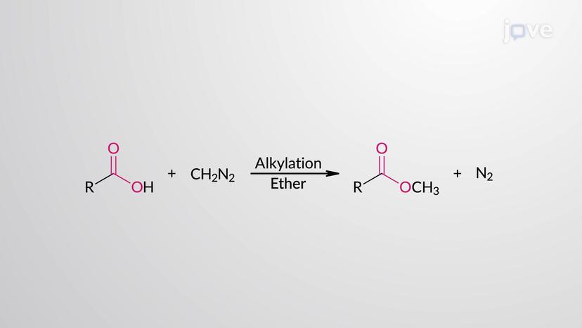 Carboxylic Acids to Methylesters: Alkylation using Diazomethane